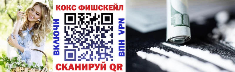 COCAIN Fish Scale  Кузнецк 