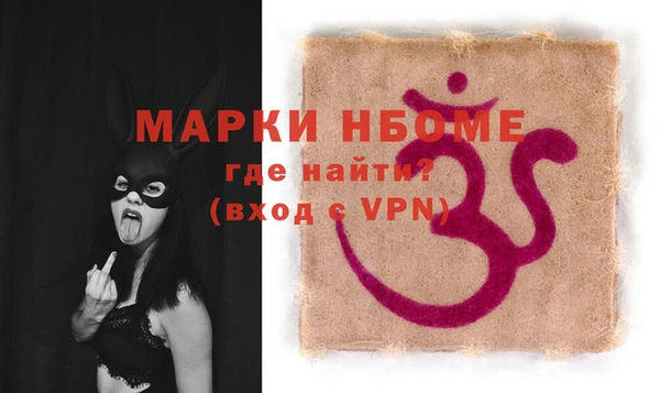 индика Карпинск
