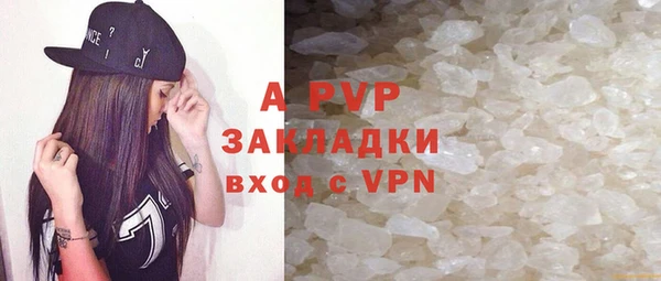 индика Карпинск