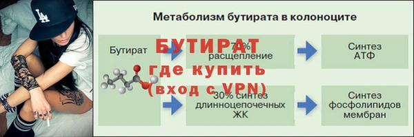 крисы Кодинск