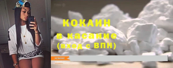 индика Карпинск