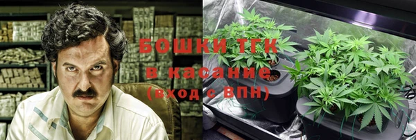 крисы Кодинск