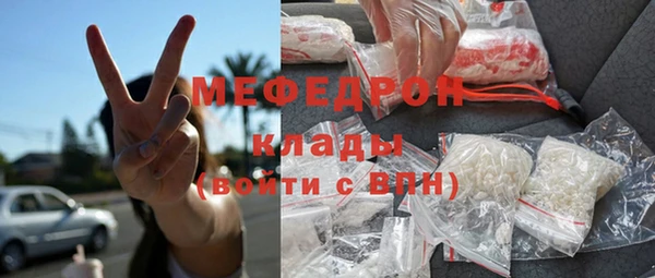 индика Карпинск