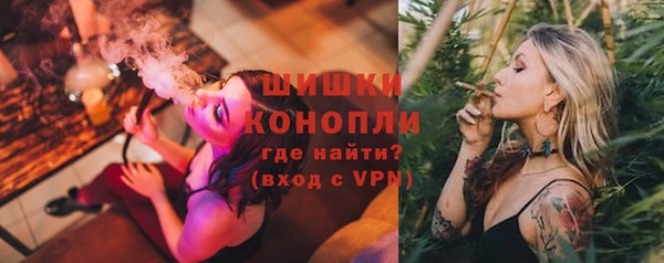 крисы Кодинск
