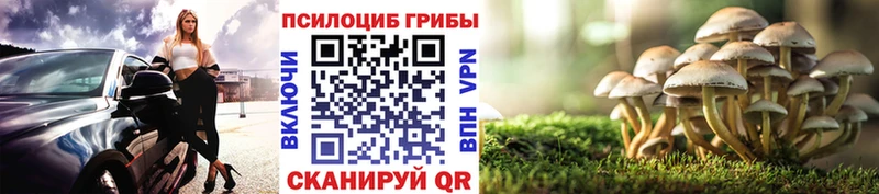 цены наркотик  Кузнецк  Псилоцибиновые грибы прущие грибы 