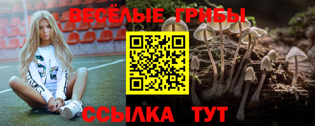 Галлюциногенные грибы мухоморы Кузнецк