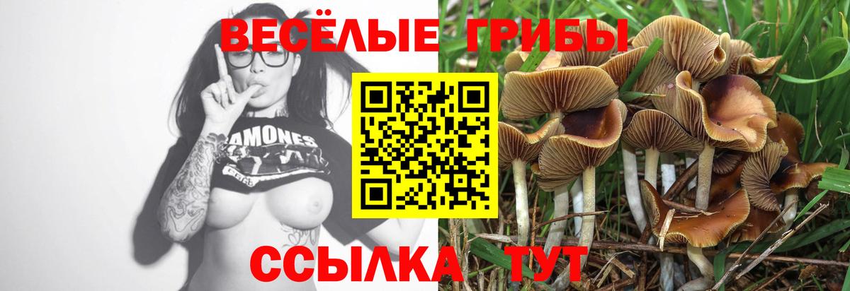 Псилоцибиновые грибы прущие грибы  Вход с VPN  Псилоцибиновые грибы Magic Shrooms  Кузнецк 